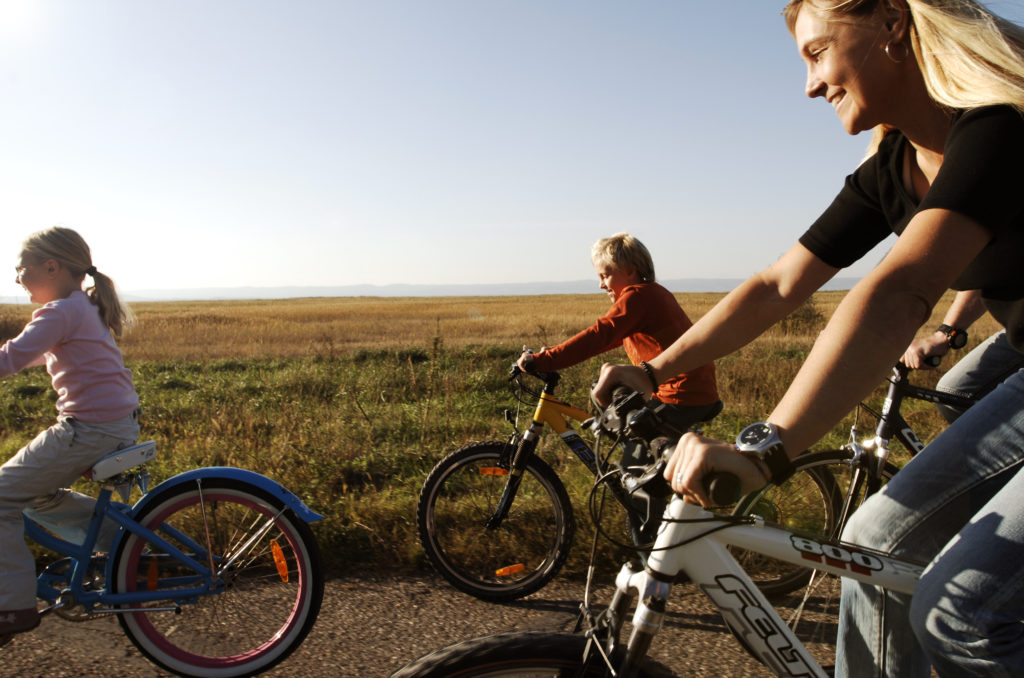 Kinder fahren mit dem Fahrrad entlang Neusiedlersees